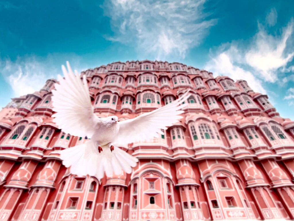 Top 5 Pre wedding destinations in India Jaipur