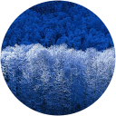 shefali saxena profile picture